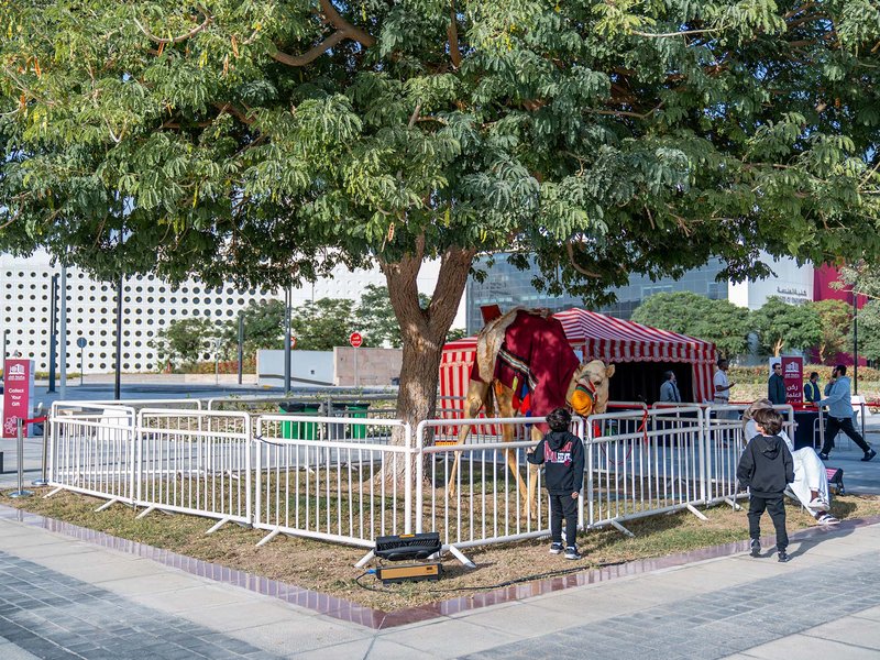 Qatar University QND